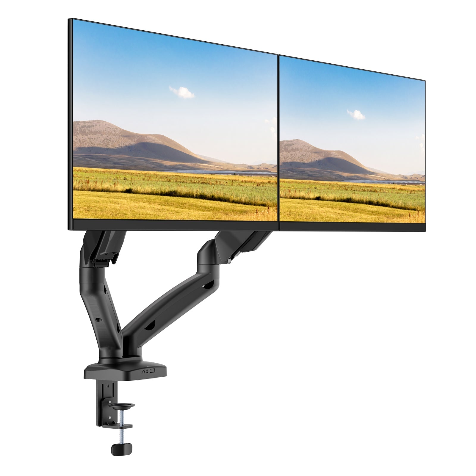 Monitor Mount